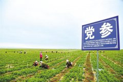 甘肃省中医药全产业链规模达到