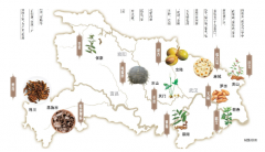 湖北中药材综合产值突破800亿元